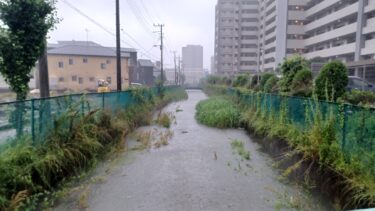 【速報】さいたま市に大雨警報　鴻沼川の十五条橋観測局で氾濫危険水位超える