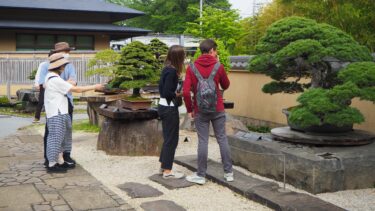 大宮盆栽村で「第42回大盆栽まつり」開催　国内外の盆栽愛好家が大宮に集う
